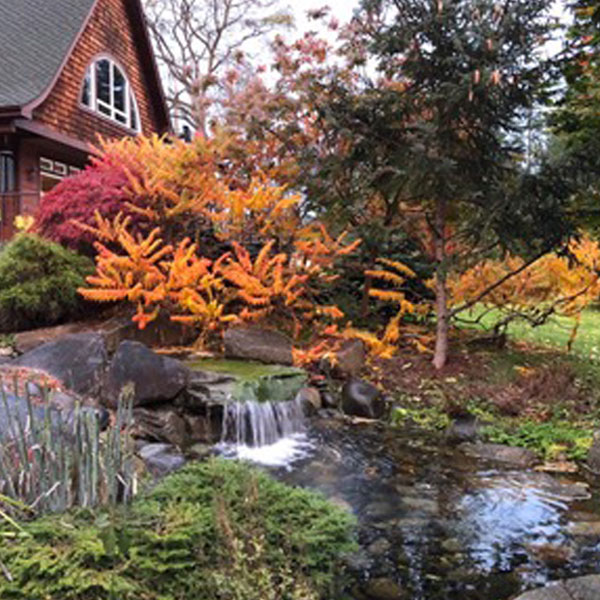 water feature